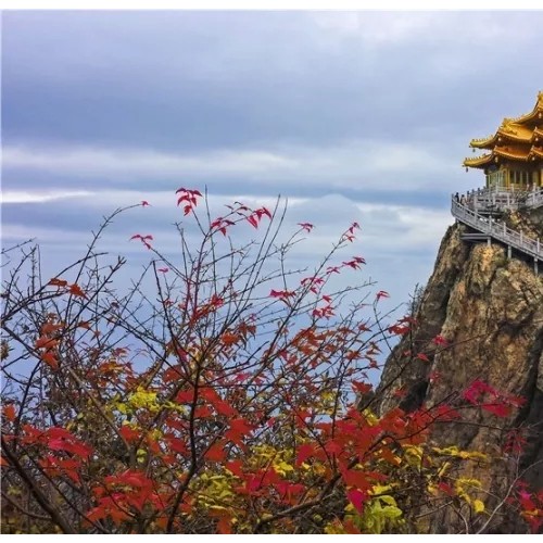 一封来自“忠实粉丝”的感谢信，点赞老君山景区优质服务！