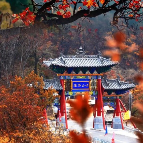 人祖山第七届红叶文化旅游节将于10月1日盛大开幕
