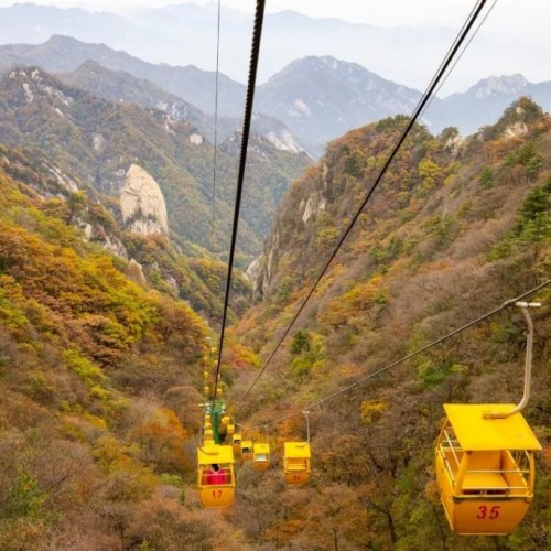 泡温泉赏红叶 | 整整一个月，尧山风景区免门票啦！