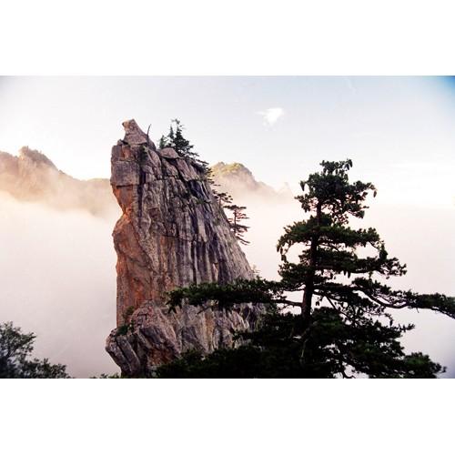 重阳至，祝福至，尧山风景区祝大家重阳安康！