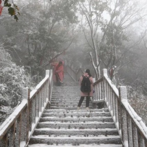 老君山景区迎来2021年入秋以来第一场雪，细雪纷纷分外诗意