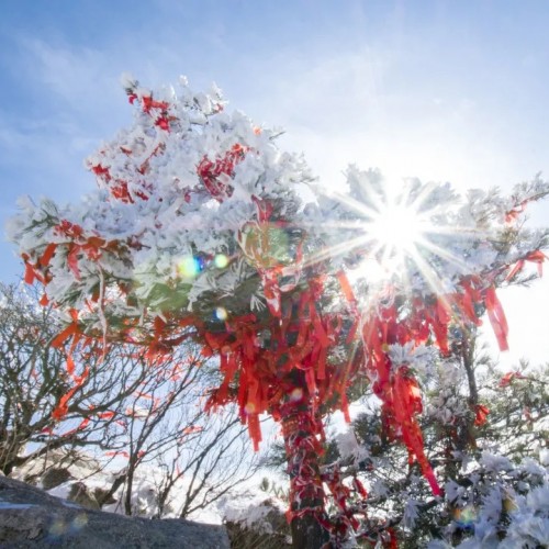 尧山风景区被大雪打扮的银装素裹，就像来到了童话世界