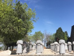 咸阳乾陵概况导游词