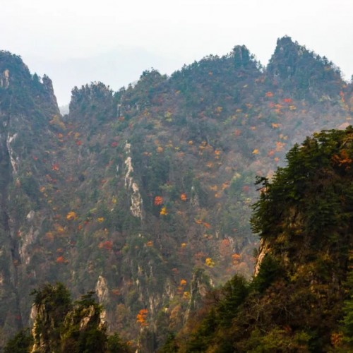 老君山景区最新实拍深秋美景