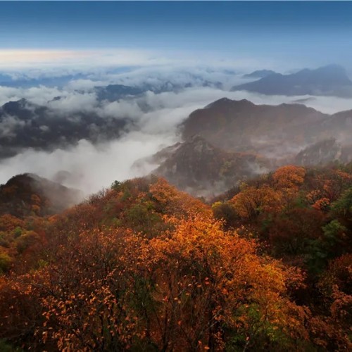 这里有似画一般的金秋，老君山景区等您来