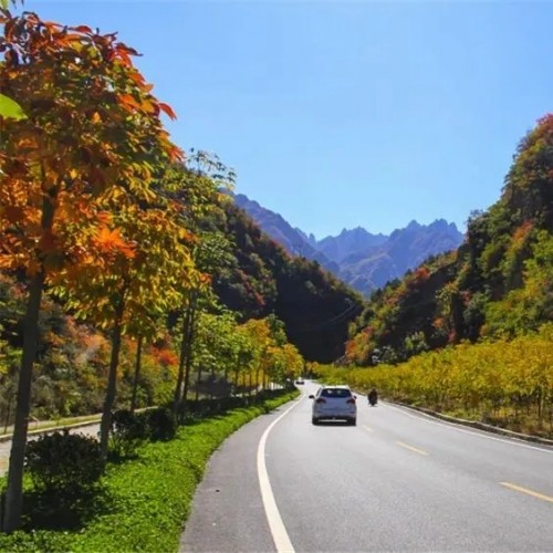 找个阳光明媚的天来老君山看漫山红叶，赏深秋美景 