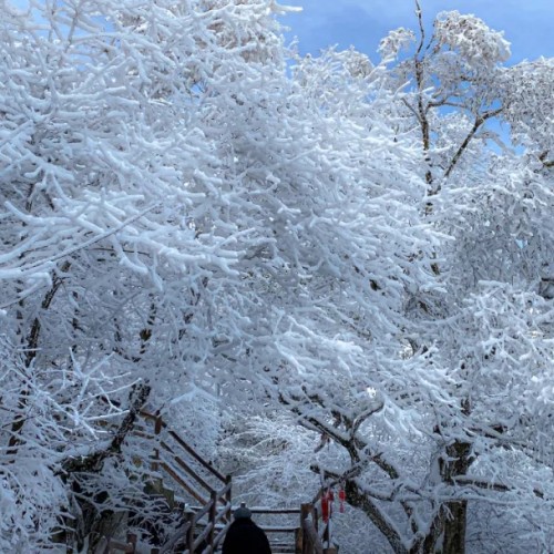 步入了冬季的老君山，变得银装素裹恍如仙境